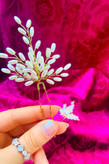 سنجاق شنیون